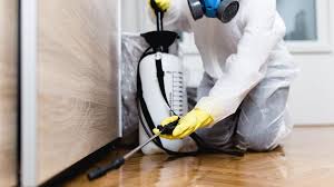 Real Estate Pest Inspections in Bronx, NY